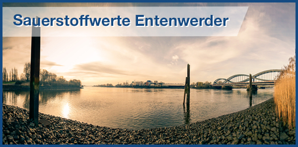 Sauerstoffwerte – Entenwerder