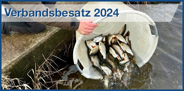 Verbandsbesatz 2024