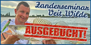 Bild: Veit Wilde