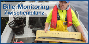 Bille-Monitoring: Zwischenbilanz